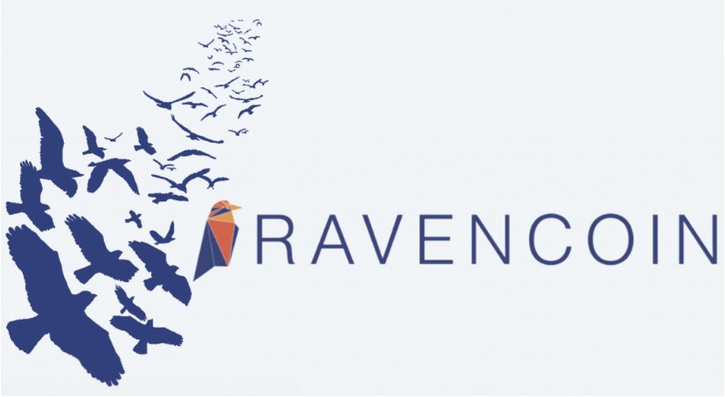 레이븐 코인 가격 전망 Raven Coin 반감기