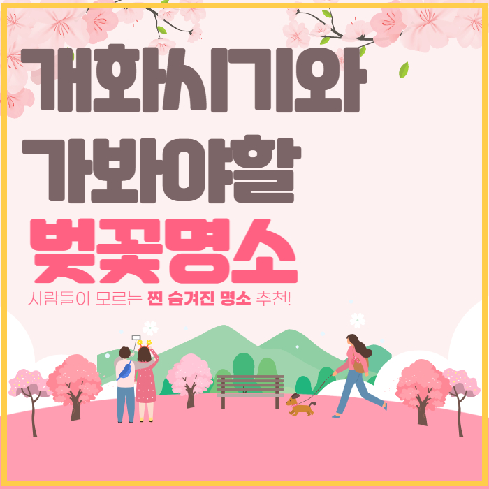 2023년 봄의 시작 벚꽃개화시기 와 벚꽃 명소 축제 소개