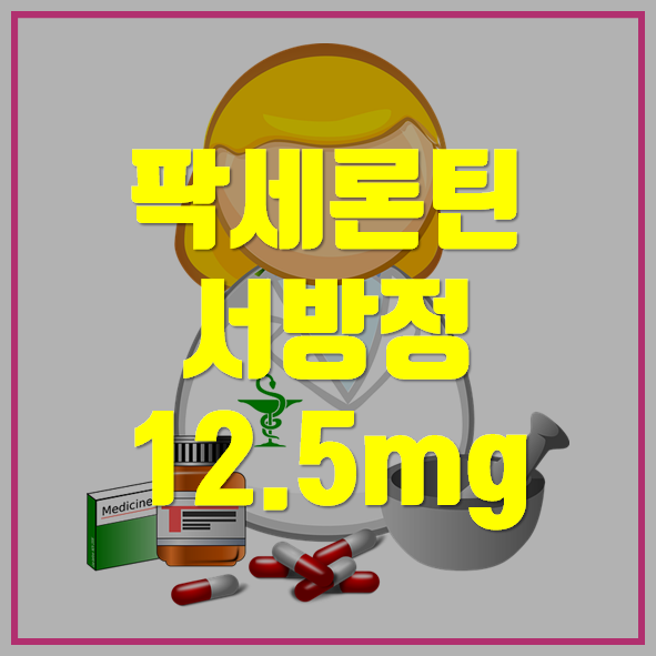 팍세론틴 서방정 12.5mg 의약품 정보