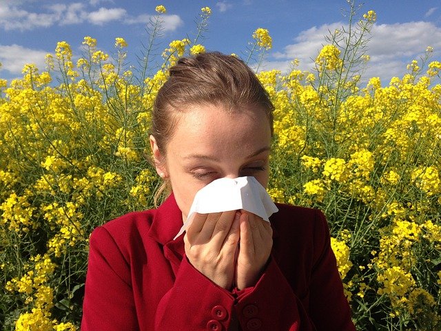 꽃가루 알레르기 증상과 치료법 그리고 원인 및 예방법