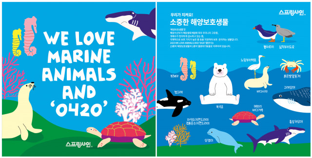 스프링샤인, '해양보호생물 영상 캠페인' 진행... 