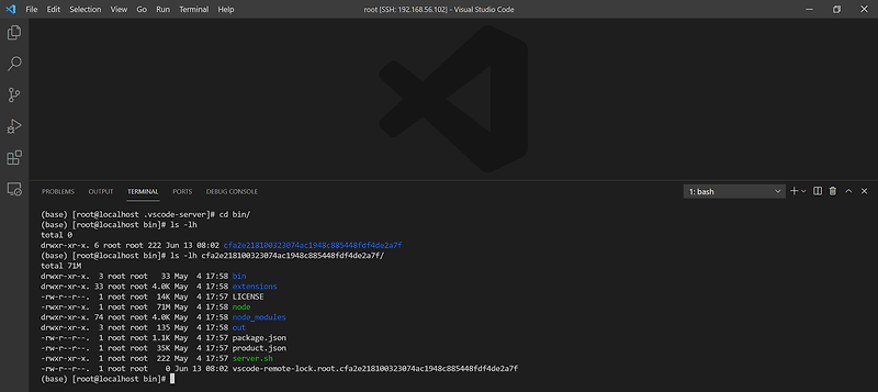 [VScode] Visual Studio Code 내부망에서 사용하기