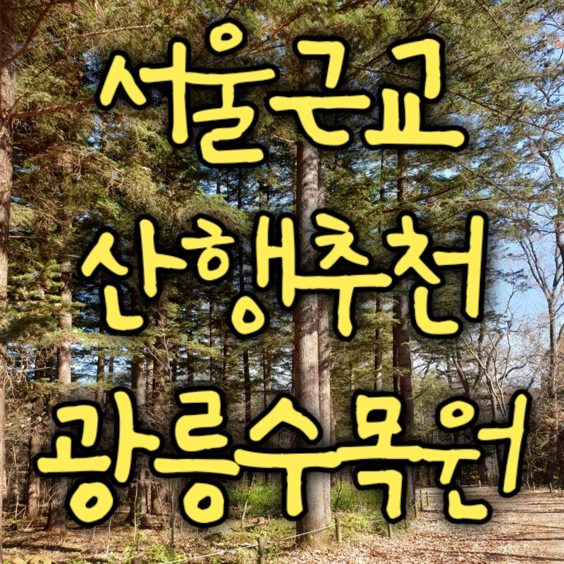 경기도 가볼만한곳 국립수목원(광릉수목원) 추천