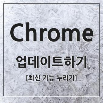 Chrome 크롬 최신 업데이트 방법 및 확인하는 법
