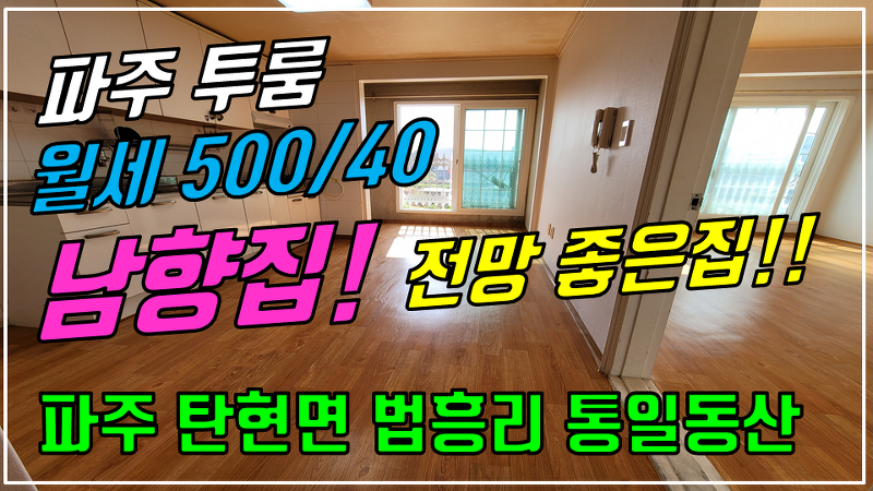 파주 탄현면 법흥리 투룸, 통일동산 투룸 월세 500/40만 전망좋고 햇볕 잘드는 남향집 2층 거실 넓은 살림집 큰투룸