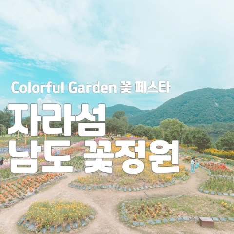 Colorful Garden 꽃 페스타 