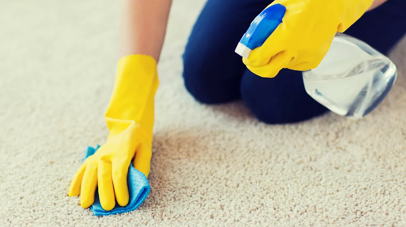 카페트 청소기 사용하거나 사용하지 않고 카펫을 청소하는 방법