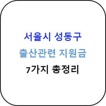 2024년 서울시 성동구 출산지원금 종 완벽 가이드