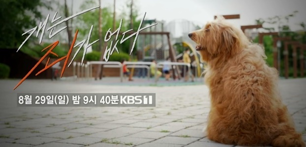 KBS 1TV 시사기획 창, 개는 죄가 없다