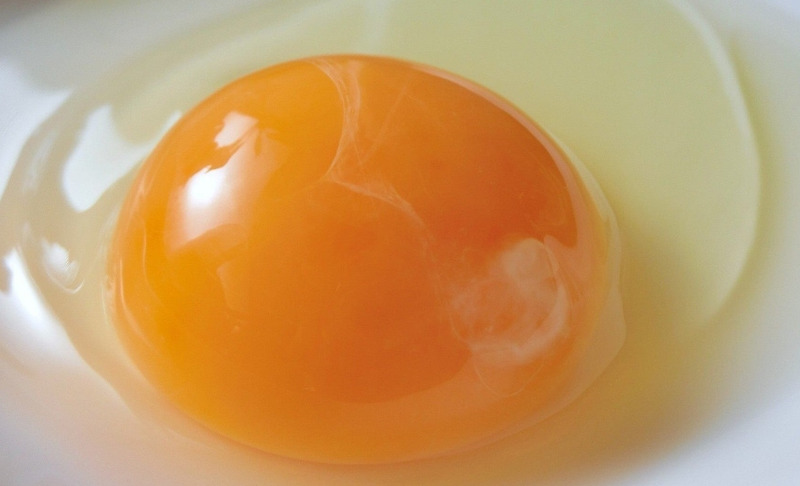 단백질 제대로 챙겨 먹는 방법 + 날달걀 속의 흰 끈과 빨간 점의 정체