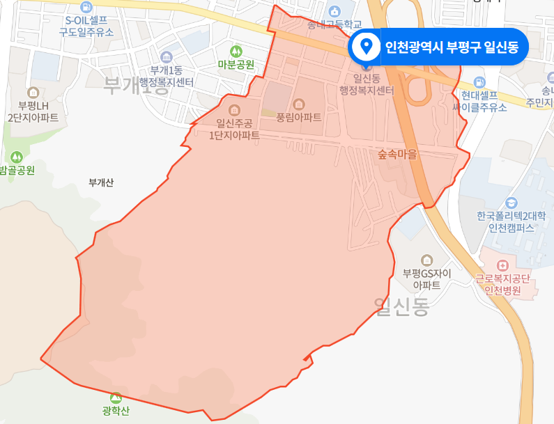 인천 부평구 일신동 아파트 존속폭행 방화미수 사건 (2020년 12월 14일)