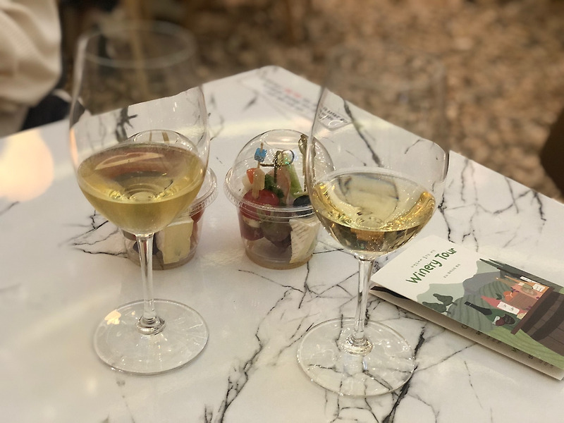 양양 쏠비치 리조트 대명 와이너리 투어 와인을 맛보다!