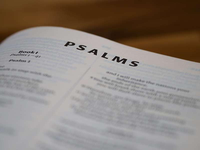 시편 1장 - Psalms 1 : 1~6