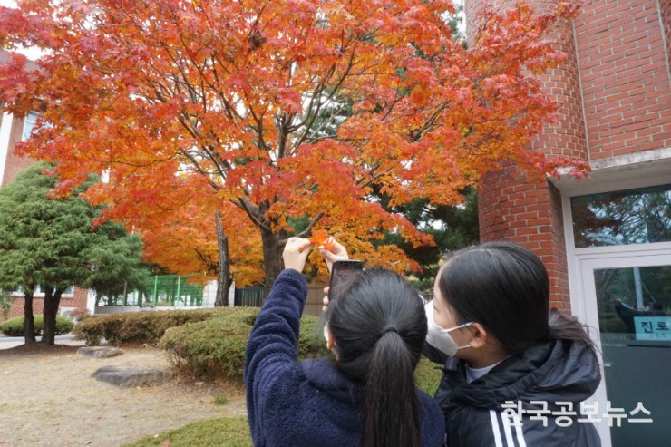 청주여중, 학교 숲을 활용한 생태, 감성 교육 실시... 고운 가을색 내 가슴을 칠하다