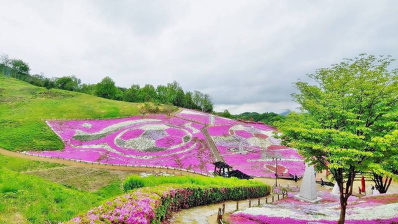 댕댕이들아 꽃구경 가자, 산청 '생초국제조각공원'으로!... 
