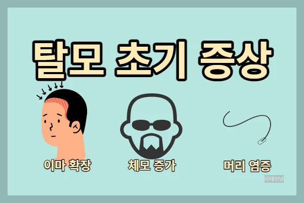 탈모 초기 증상, 남성형 탈모, 절대 하면 안 되는 일, 꼭 해야 할 일