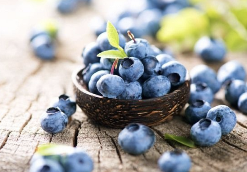 블루베리 효능과 영양성분, 보관 및 섭취방법, 구입 팁 정리
