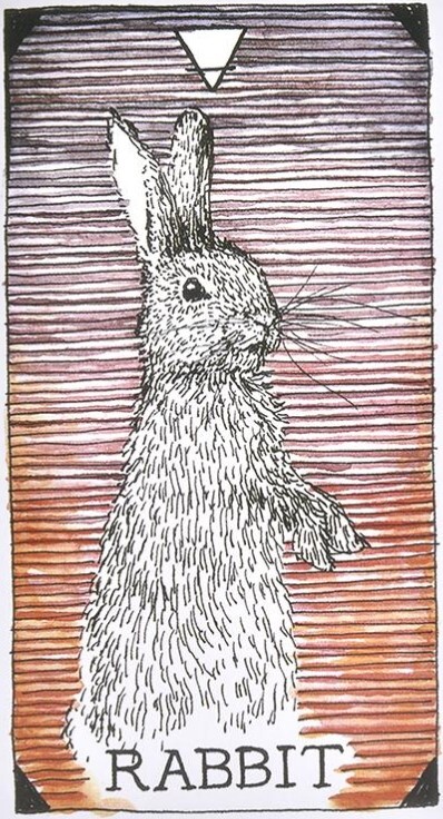[오라클카드배우기/와일드언노운애니멀스피릿]The Wild Unknown Animal Spirit Rabbit 토끼 해석 및 의미
