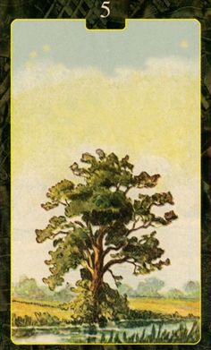 [레노먼드카드배우기]5.Tree 나무 해석 및 의미