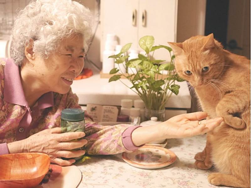 엄마와 고양이가 함께 한 시간의 기록, 정서윤 작가의 사진 에세이집『무심한 듯 다정한』