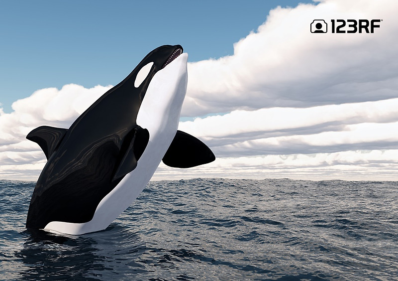 반가워, 나는 고래야 : 고래 3D 사진 모음 