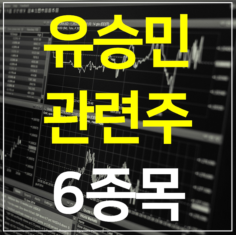 유승민 관련주 대장주 TOP6 완벽정리