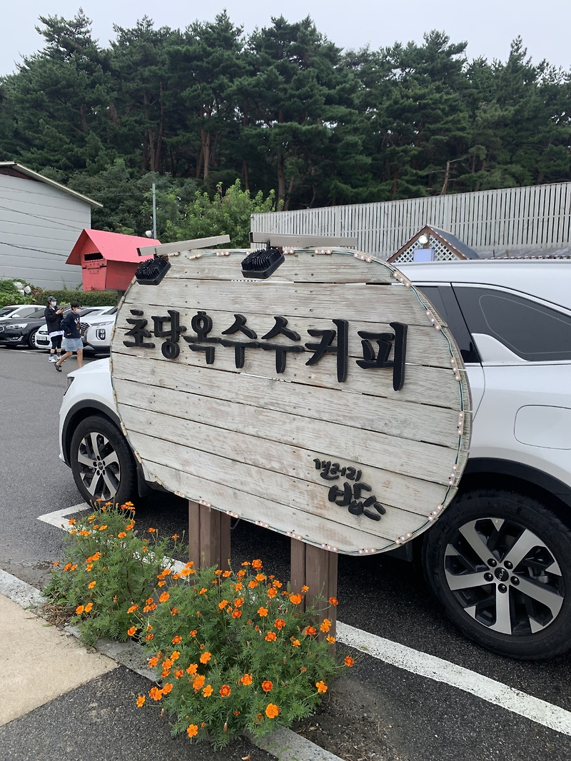 강릉 카페 초당옥수수커피