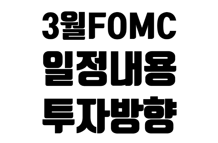 22년 3월 FOMC 이후 전망과 투자 방향