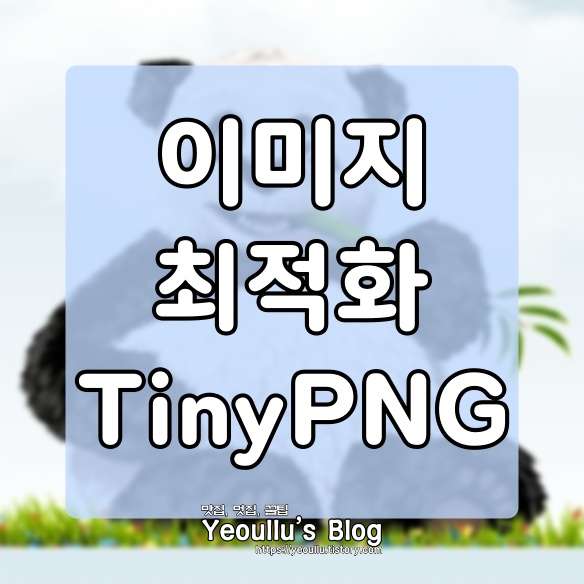 TinyPNG, 이미지 최적화 웹사이트