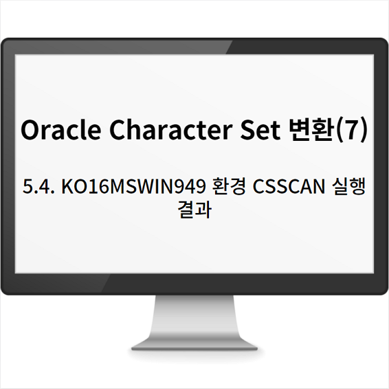 Oracle Character Set 변환(7): 5.4. KO16MSWIN949 환경 CSSCAN 실행 결과