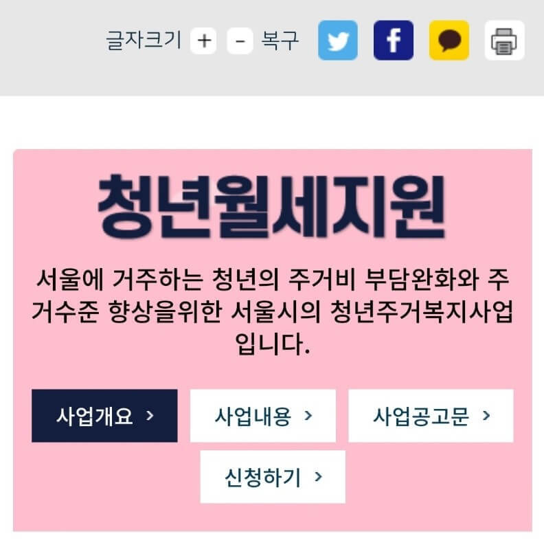 서울시 청년월세지원 신청 후기 (신청기간, 지원대상, 선정기준)