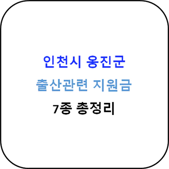 2024년 인천시 옹진군 출산지원금 7종 완벽가이드