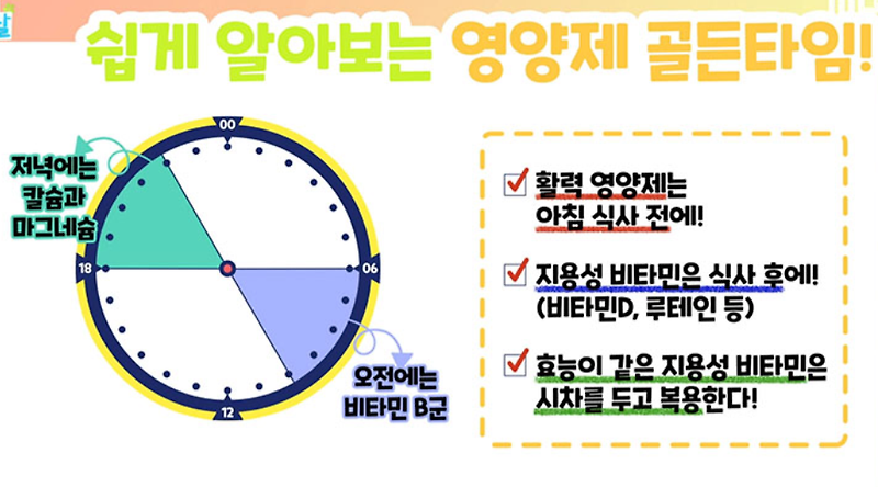 영양제 골든타임 영양제 언제 먹어야 좋을까  영양제복용법