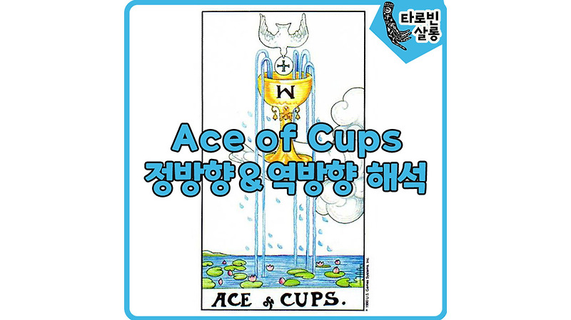 [웨이트 카드 해석] Ace of Cups 에이스 컵 타로 카드 정방향  & 역방향 해석