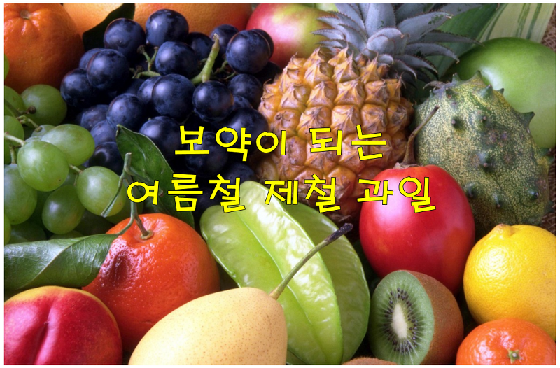 여름 과일 종류와 보약이 되는 여름철 제철 과일