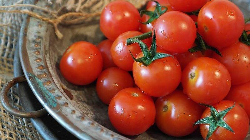 토마토 효능 7가지와 부작용, 영양성분