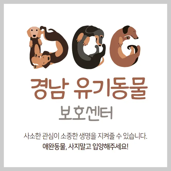 경남 유기동물보호센터 강아지 고양이 유기 동물 보호소 16곳
