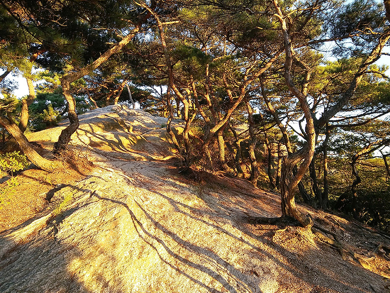 걷고 사랑하며 #238: 눈부신 햇살이 아름다운 인왕산(Inwangsan Mountain)