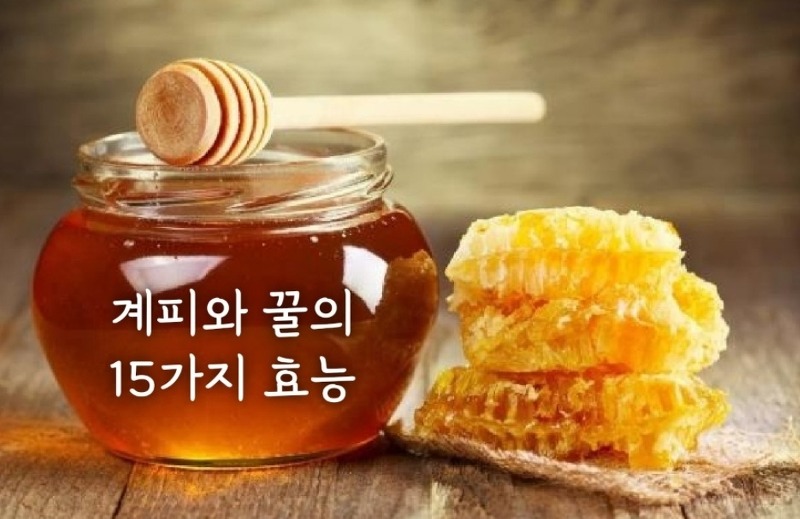 겨울 건강 면역 관리에 좋은 계피와 꿀의 15가지 효능 피곤 독감 소화불량