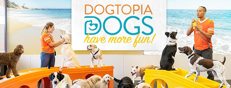 Dogtopia Secures 31 Signed Franchise Agreements in Q1 2021