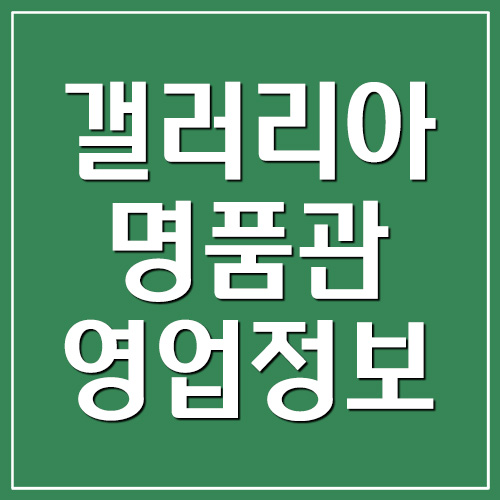 갤러리아 백화점 명품관 휴무일/영업시간/전화번호