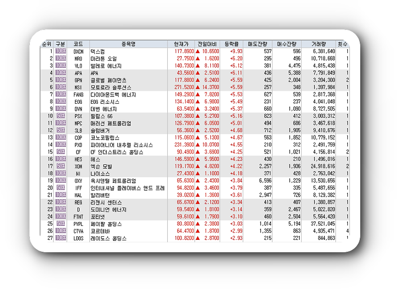 2월10일 미국주식 S&P500 상승률 상위 종목 TOP 100