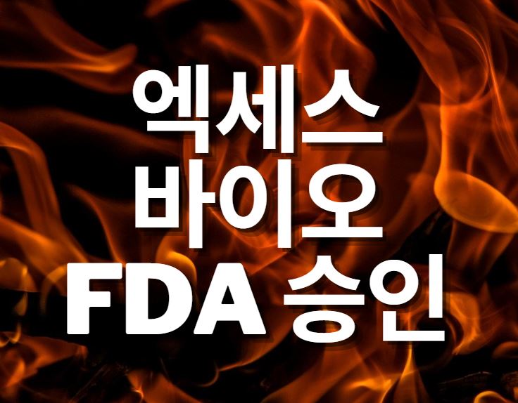 엑세스바이오 주가  미 FDA 승인 허락