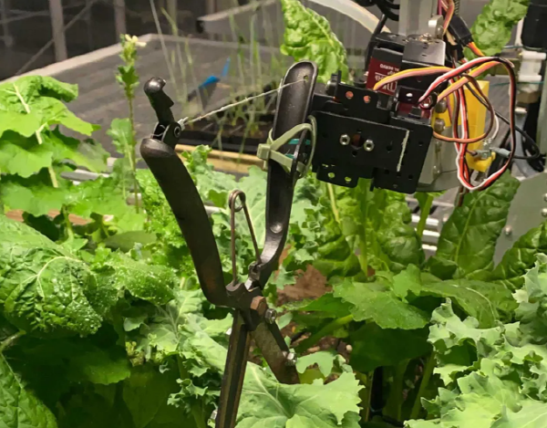 UC 버클리, 로봇 정원사 '알파가든' 공개...튜링 테스트 통과