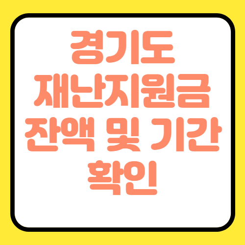 경기도 재난지원금 잔액조회 및 기간 롯데카드 확인 방법
