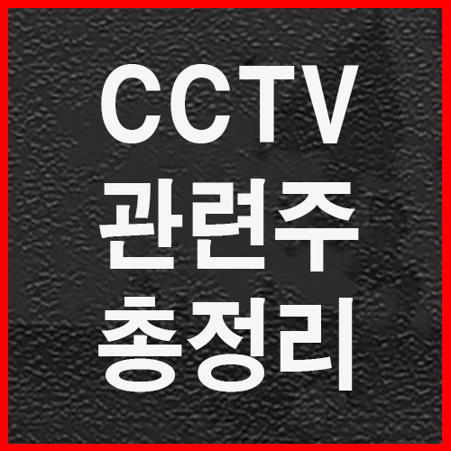 CCTV관련주