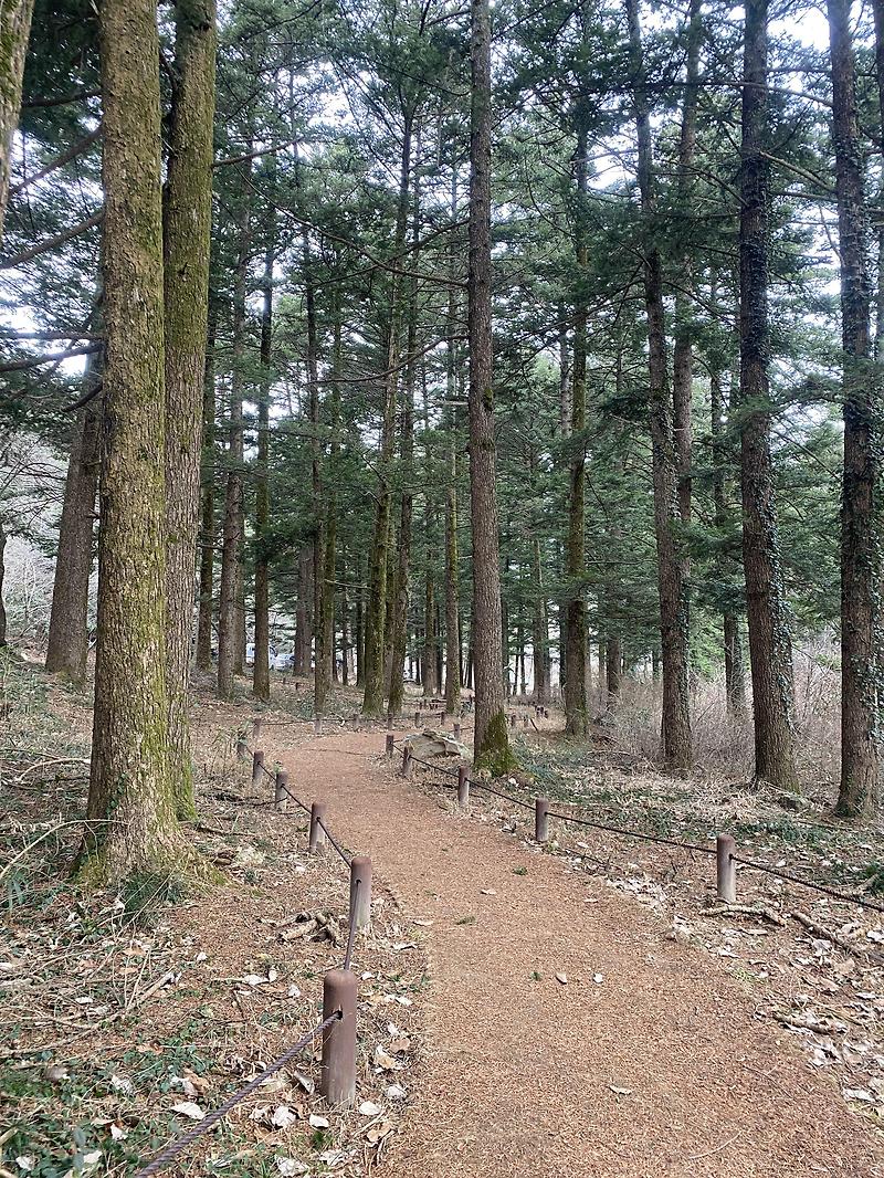 [ 부안 ] 전북 개암사, 선유도 등 부안 근처 여행지