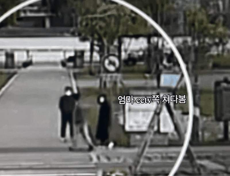 한강 실종 친구 새로운 목격자 CCTV 우산 쓴 사람의 정체는? 40분 풀영상에 담긴 것들