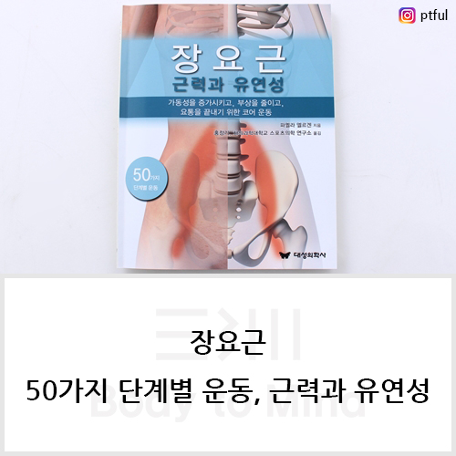 장요근(iliopsoas) (50가지 단계별 운동, 근력과 유연성)