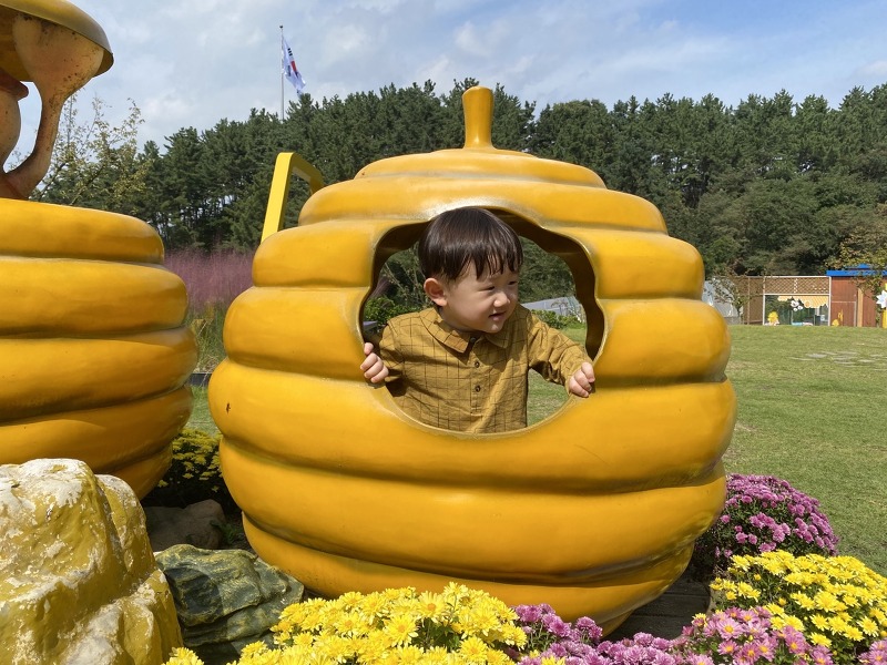 주말에 칠곡 아기랑 가볼만한 곳, 꿀벌나라테마공원에서 꿀벌의 소중함 알아보고 체험해보는 거 어때요?